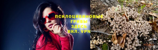 стафф Покровск