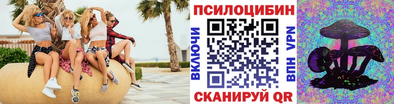 KRAKEN зеркало  даркнет сайт  Валдай  Псилоцибиновые грибы GOLDEN TEACHER 